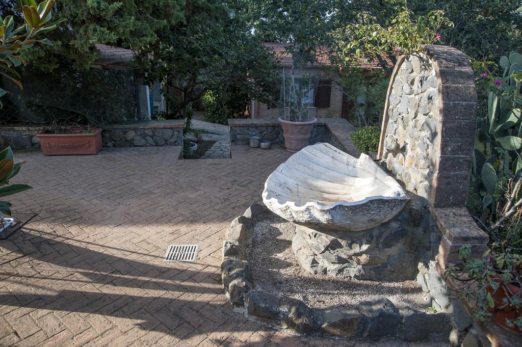 Tenuta Colle Mattia Colonna Kültér fotó