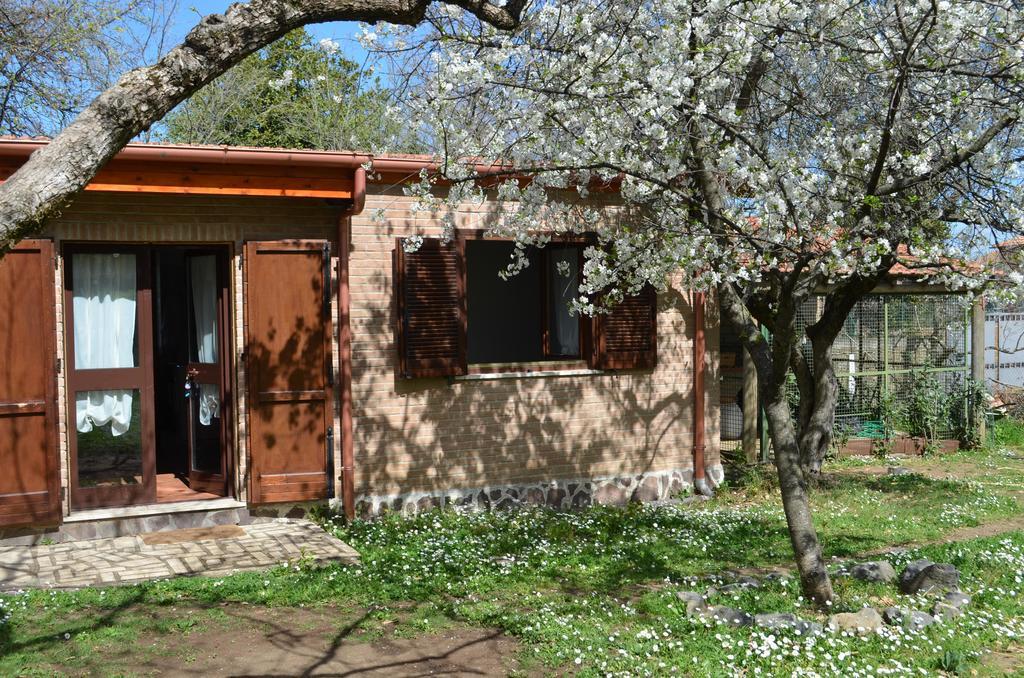Tenuta Colle Mattia Colonna Kültér fotó